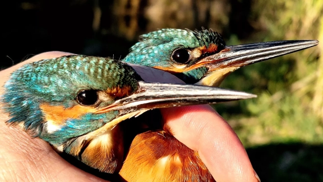 Imagen de WhatsApp 2025 09 14 a las 14.14.08 eb3f3993 Imagen de WhatsApp 2025 09 14 a las 14.14.08 eb3f3993