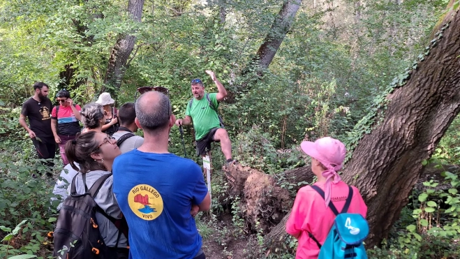 Imagen de WhatsApp 2025 09 14 a las 14.14.07 e3d7a5e2 Imagen de WhatsApp 2025 09 14 a las 14.14.07 e3d7a5e2