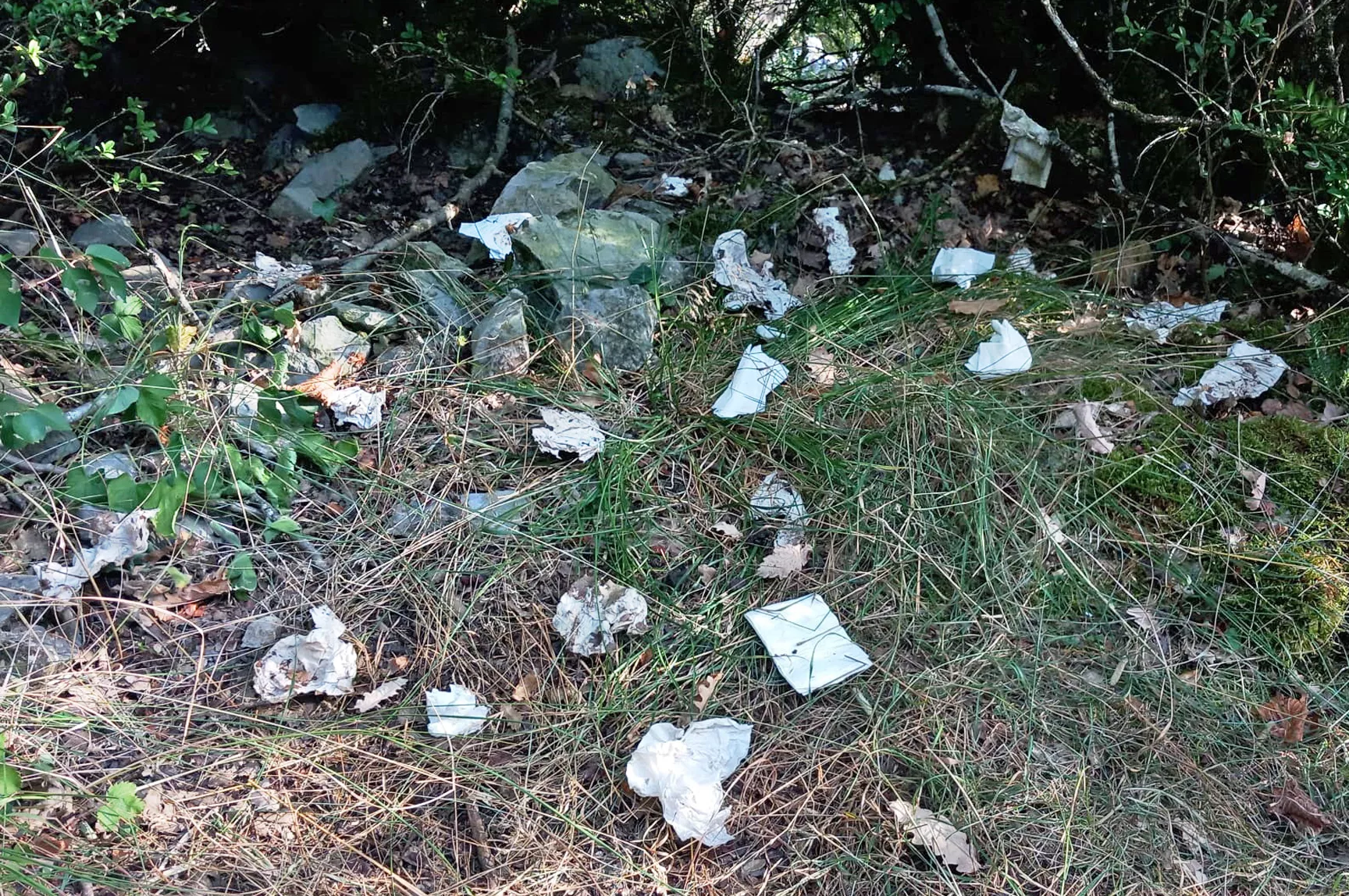 Ordesa llama a los visitantes a reducir su impacto con pequeños gestos.