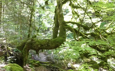 En el barranco Espata. Foto Alfredo Zazo