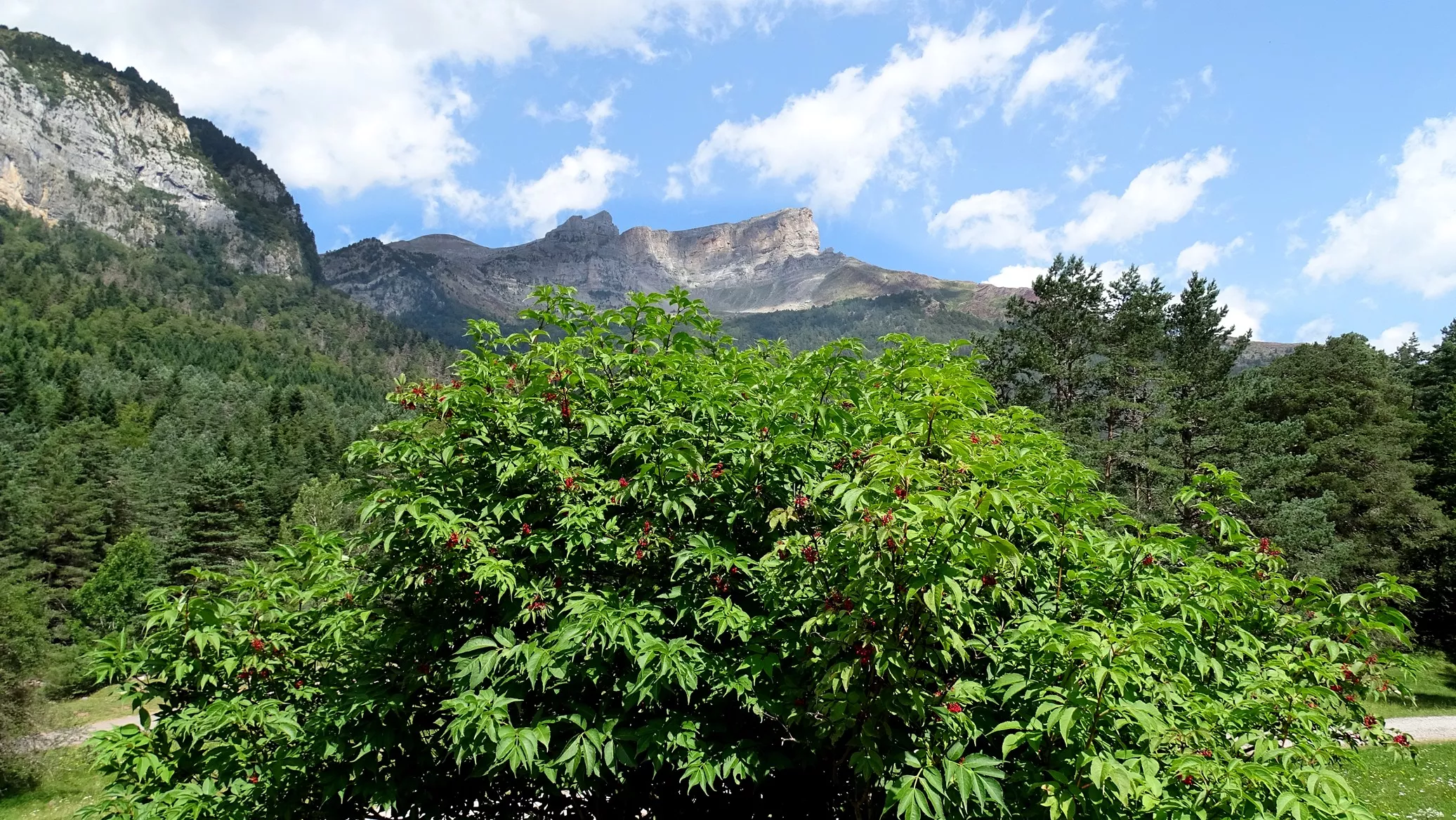 Chipeta. Foto Alfredo Zazo