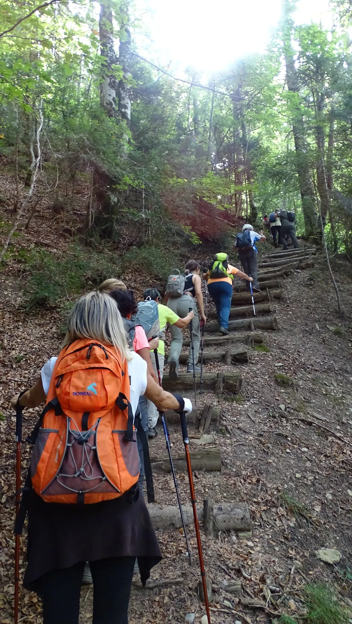 Senda a San Juan de Dios. Foto Alfredo Zazo