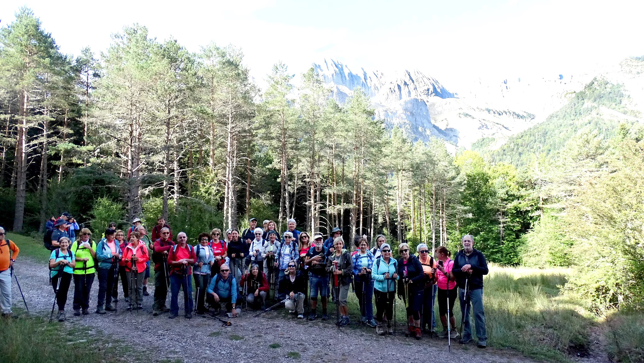 En plena Selva de Oza. Foto Alfredo Zazo