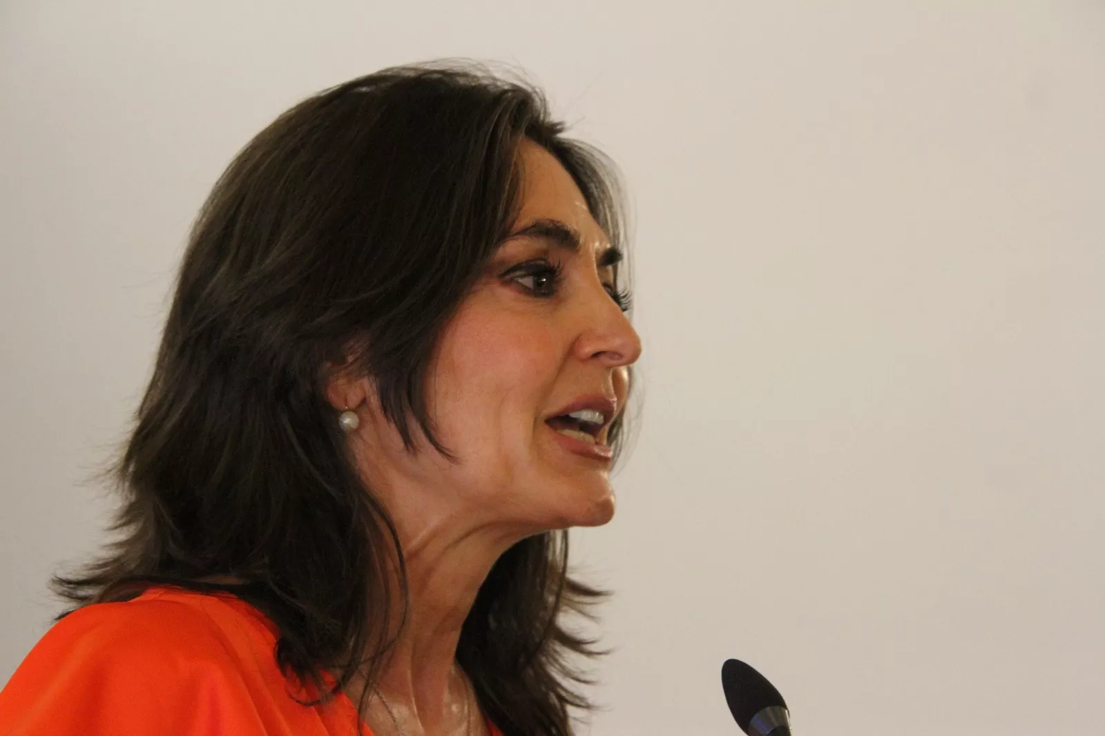 Presentación de la 39 edición de Femoga de Sariñena. Foto Carlos Neofato