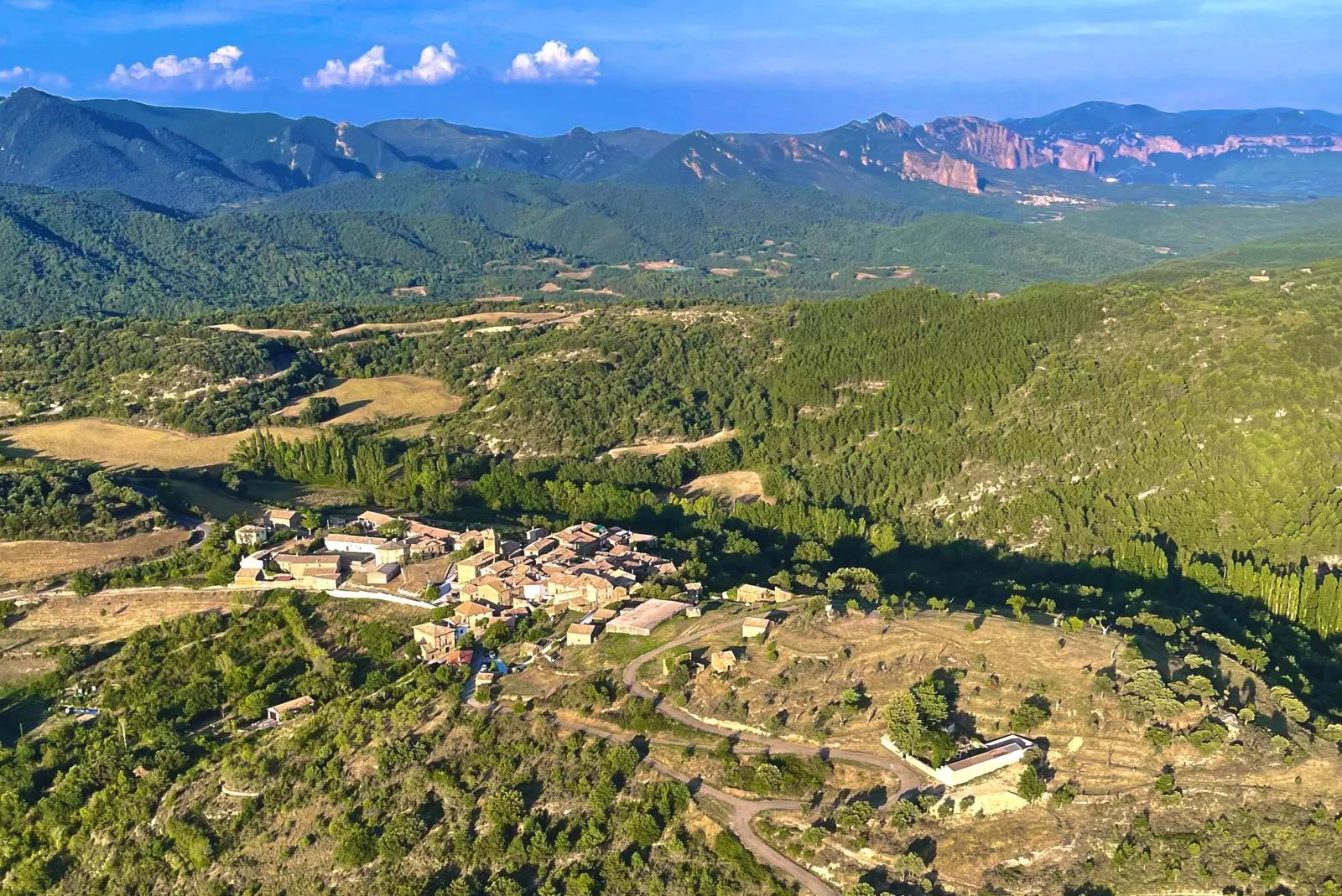 Bosque afectado entre Agüero y Fuencalderas.