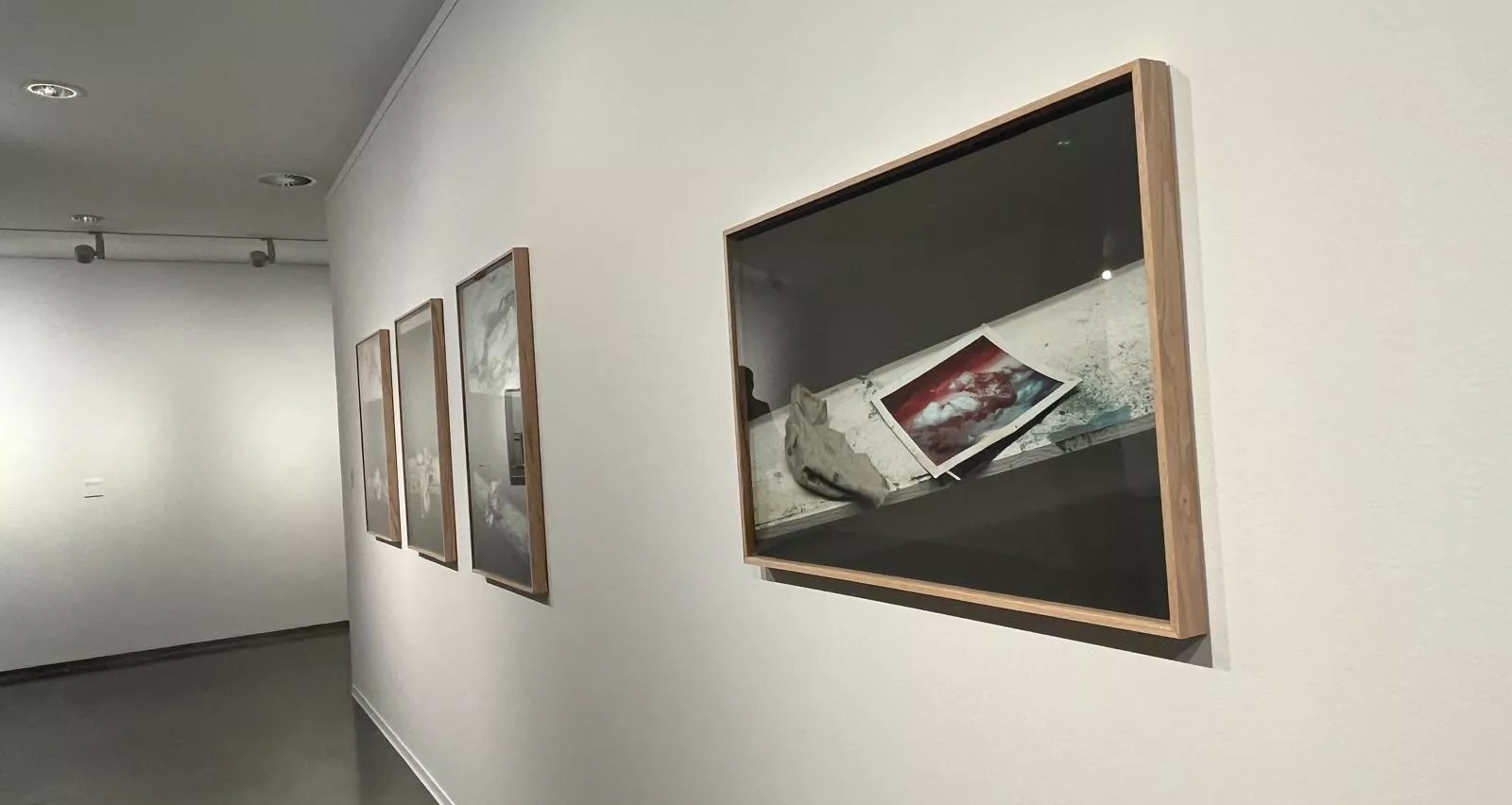 Exposición de José Noguero 'Die Brunnen–Las fuentes' en la DPH. Foto Mercedes Manterola