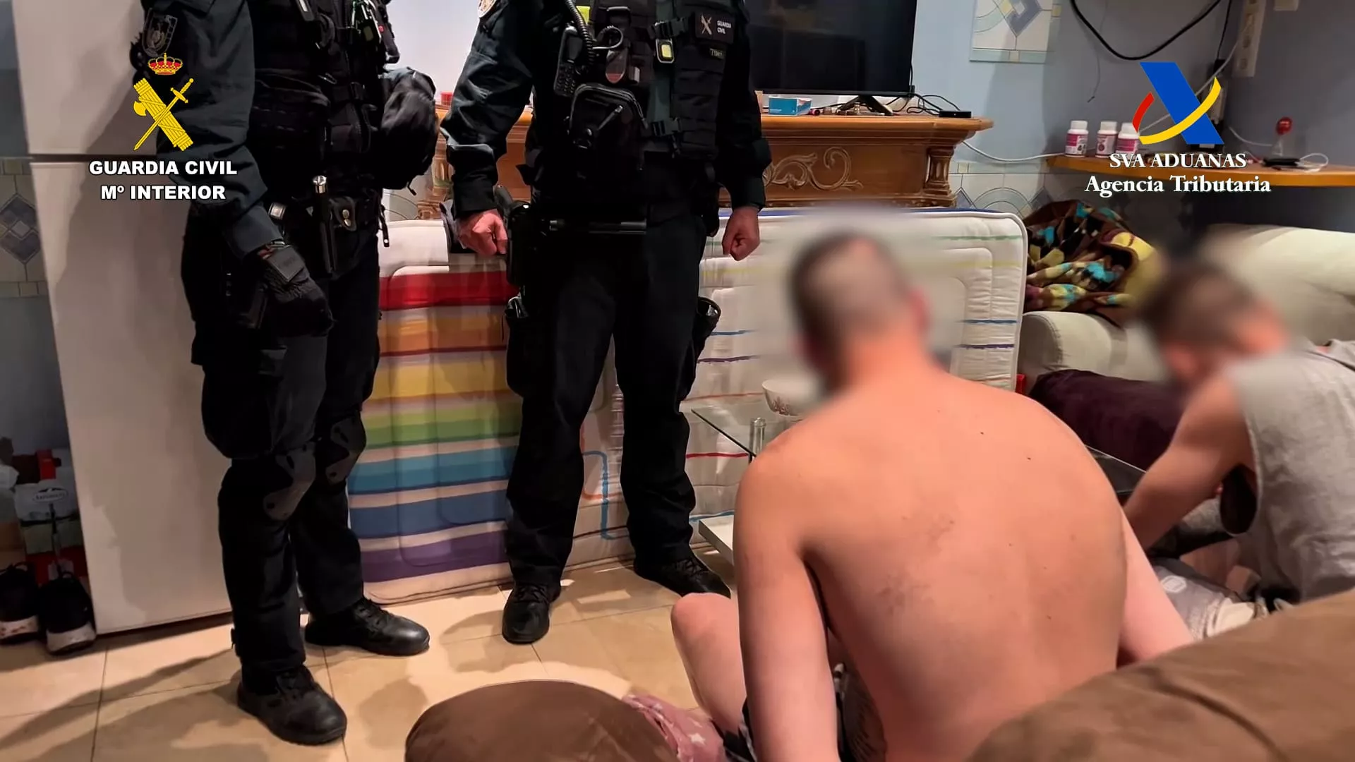 Operación de desarticulación de grandes plantaciones de marihuana en Huesca y Zaragoza