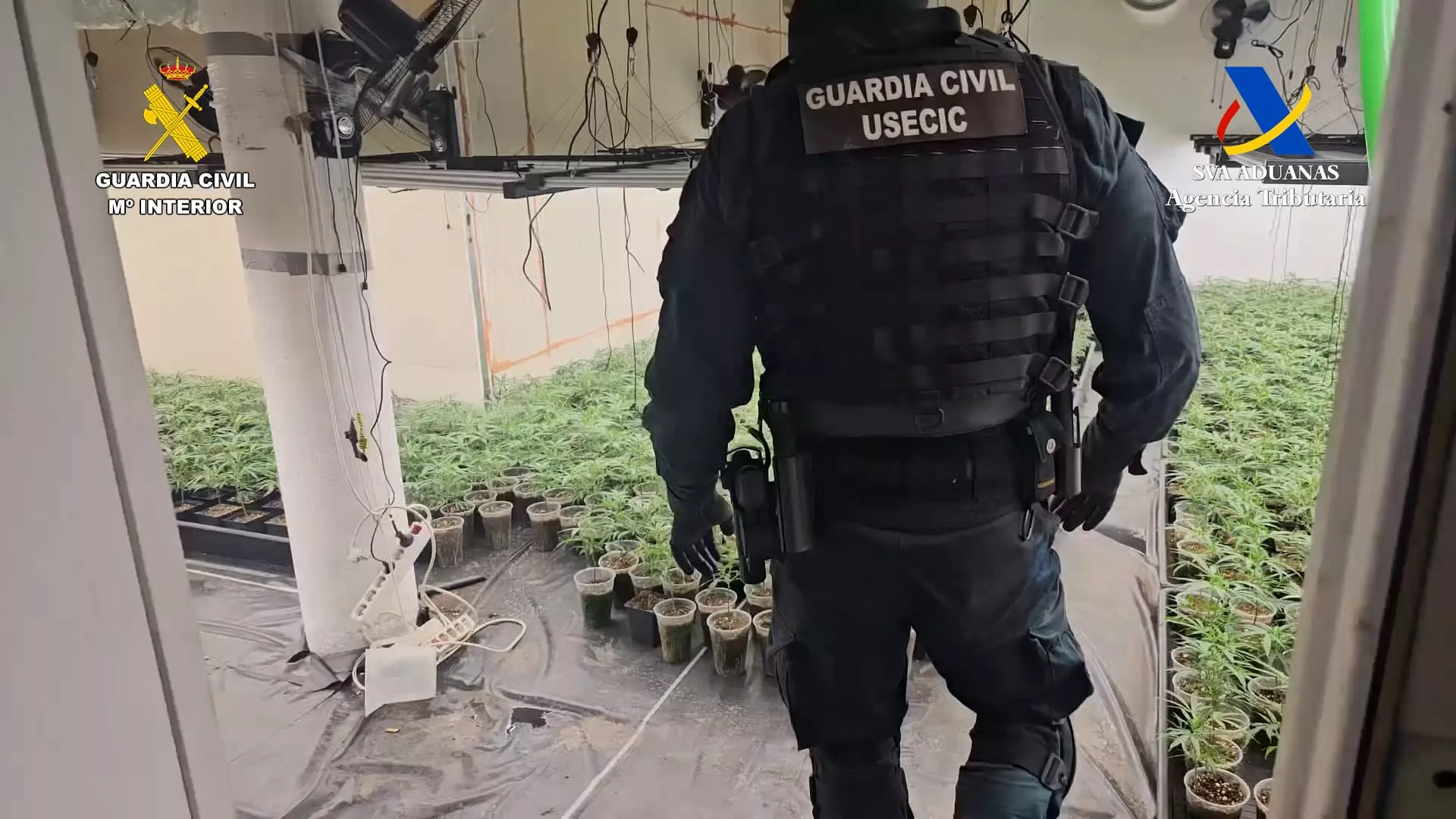 Operación de desarticulación de grandes plantaciones de marihuana en Huesca y Zaragoza