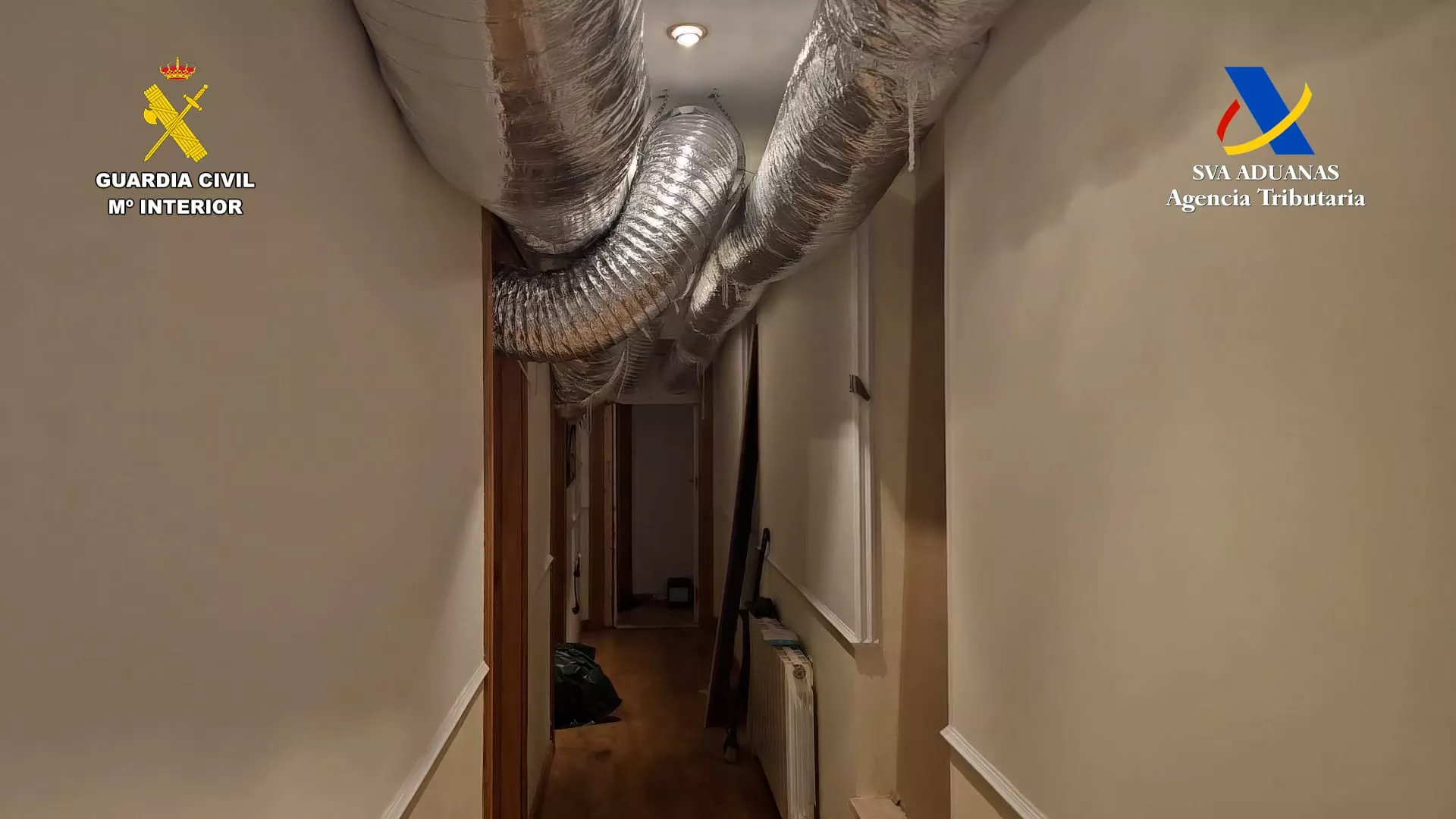 Operación de desarticulación de grandes plantaciones de marihuana en Huesca y Zaragoza