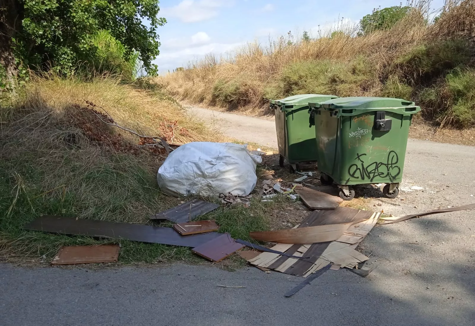 Vertidos en el camino de la Cruz del Palmo de Huesca.