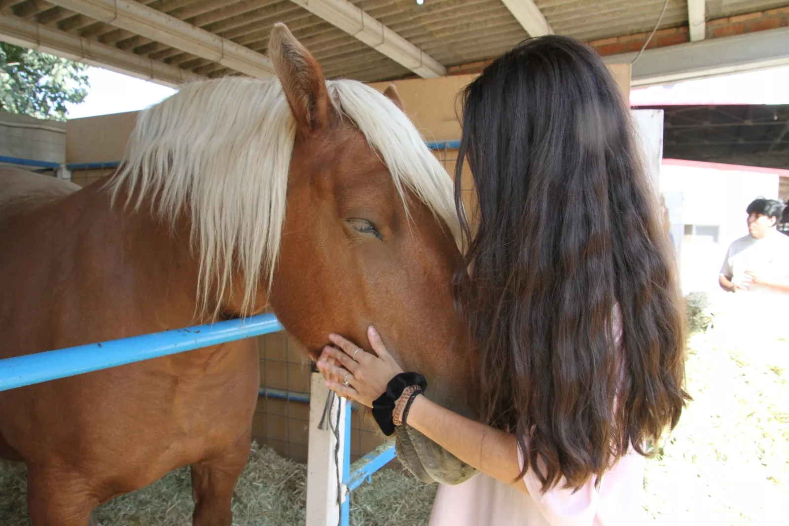 Inauguración de la XXXIX edición de Femoga. Foto Carlos Neofato