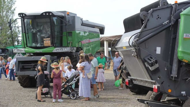 zona maquinaria femoga