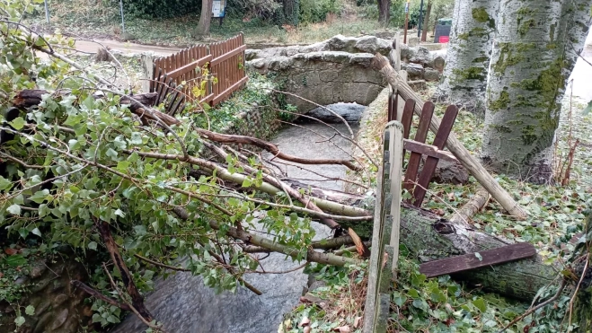 Imagen de WhatsApp 2025 09 21 a las 12.54.15 5bf7879a