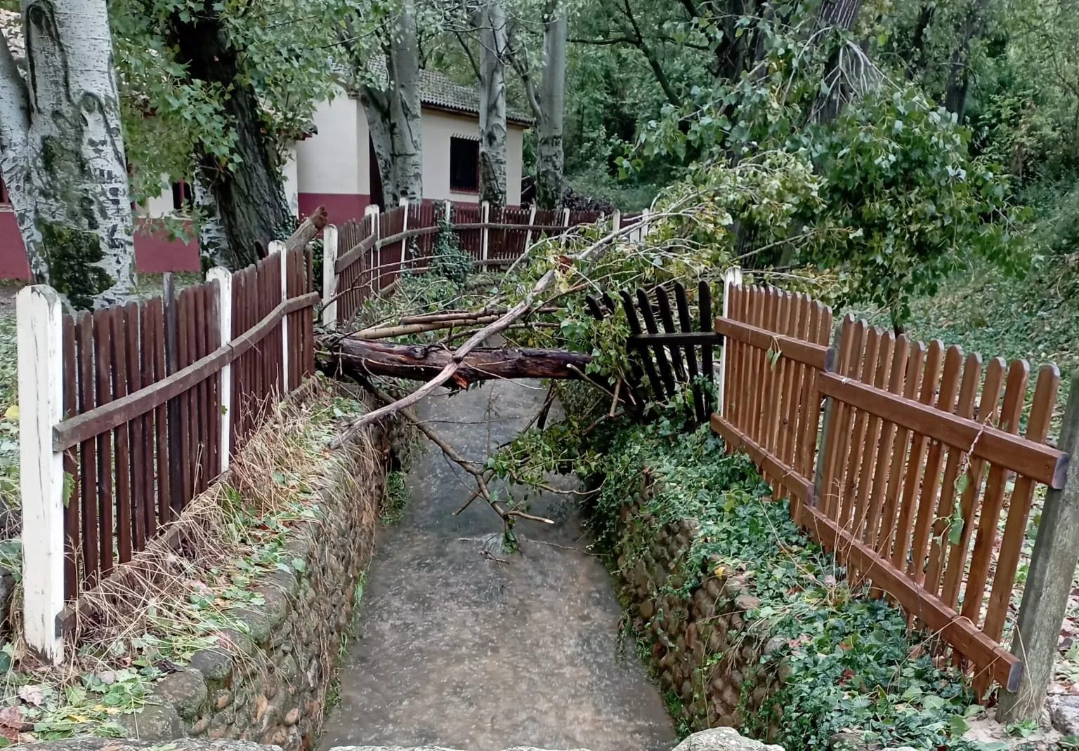 Daños causados por la tormenta en Loarre.