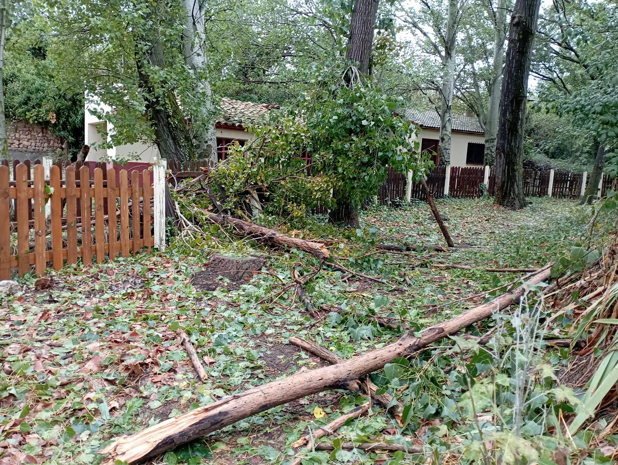 Daños causados por la tormenta en Loarre.