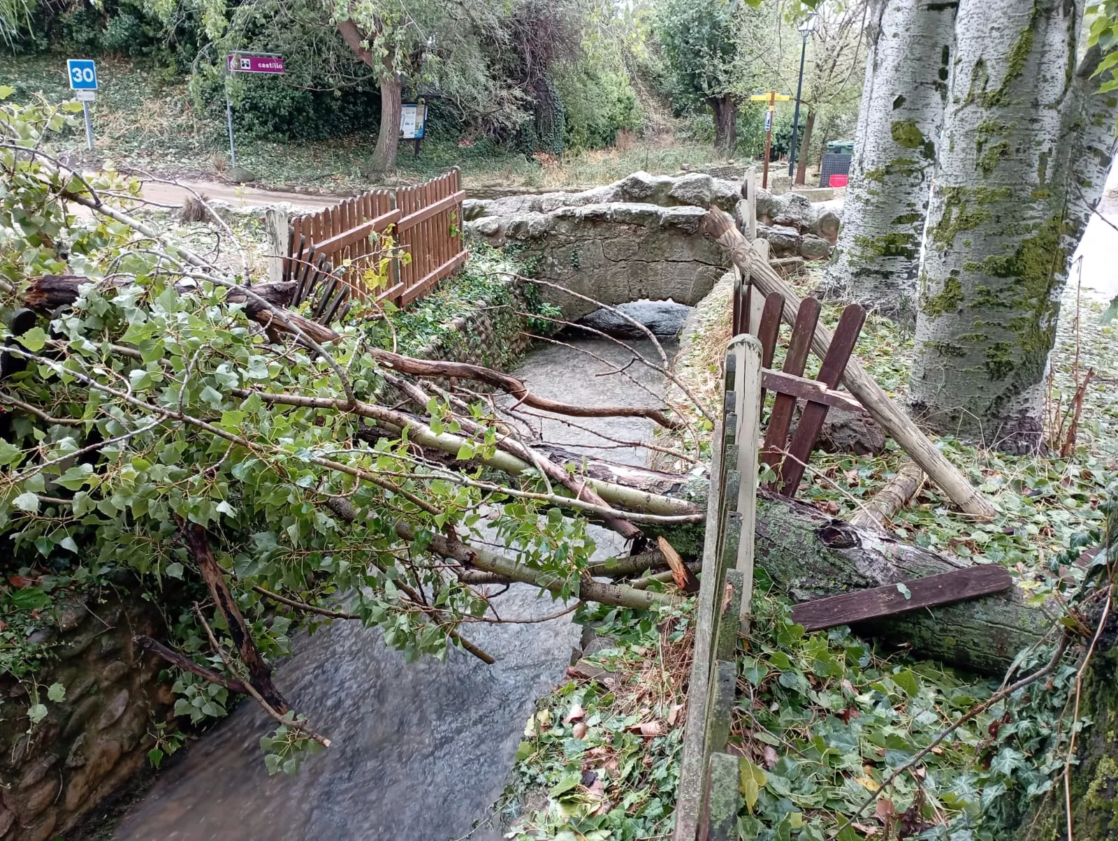 Daños causados por la tormenta en Loarre.