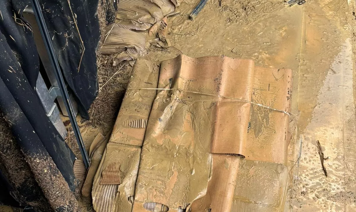 Daños causados por la tormenta en el Corral de García.