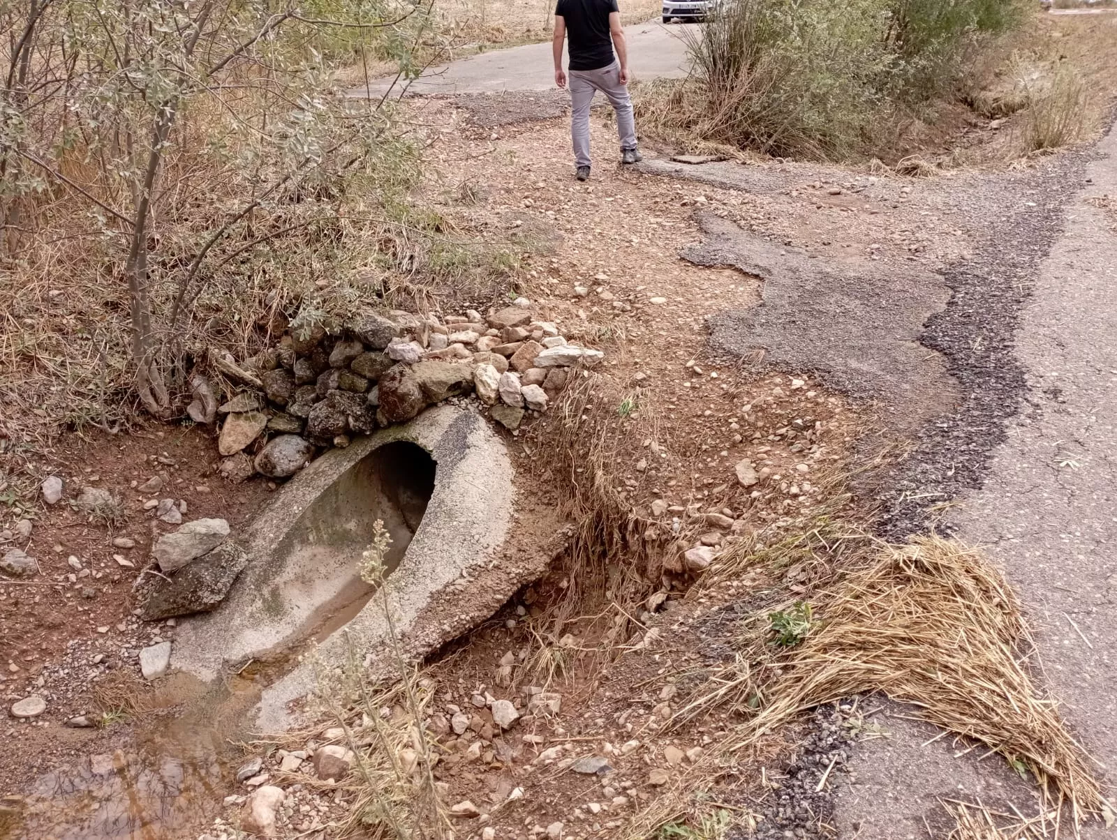 Daños causados por la tormenta en Loarre.