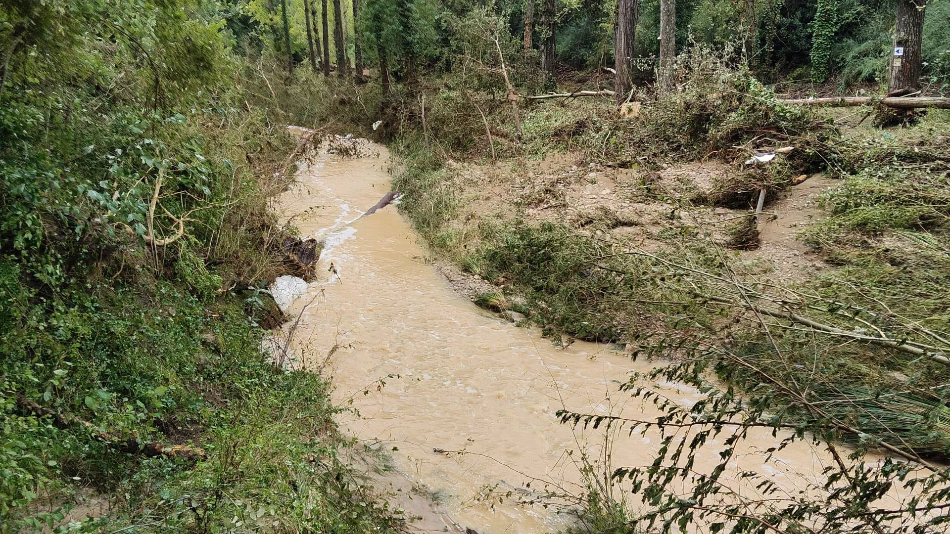 Daños causados por la tormenta en La Fontaneta de Ayerbe.