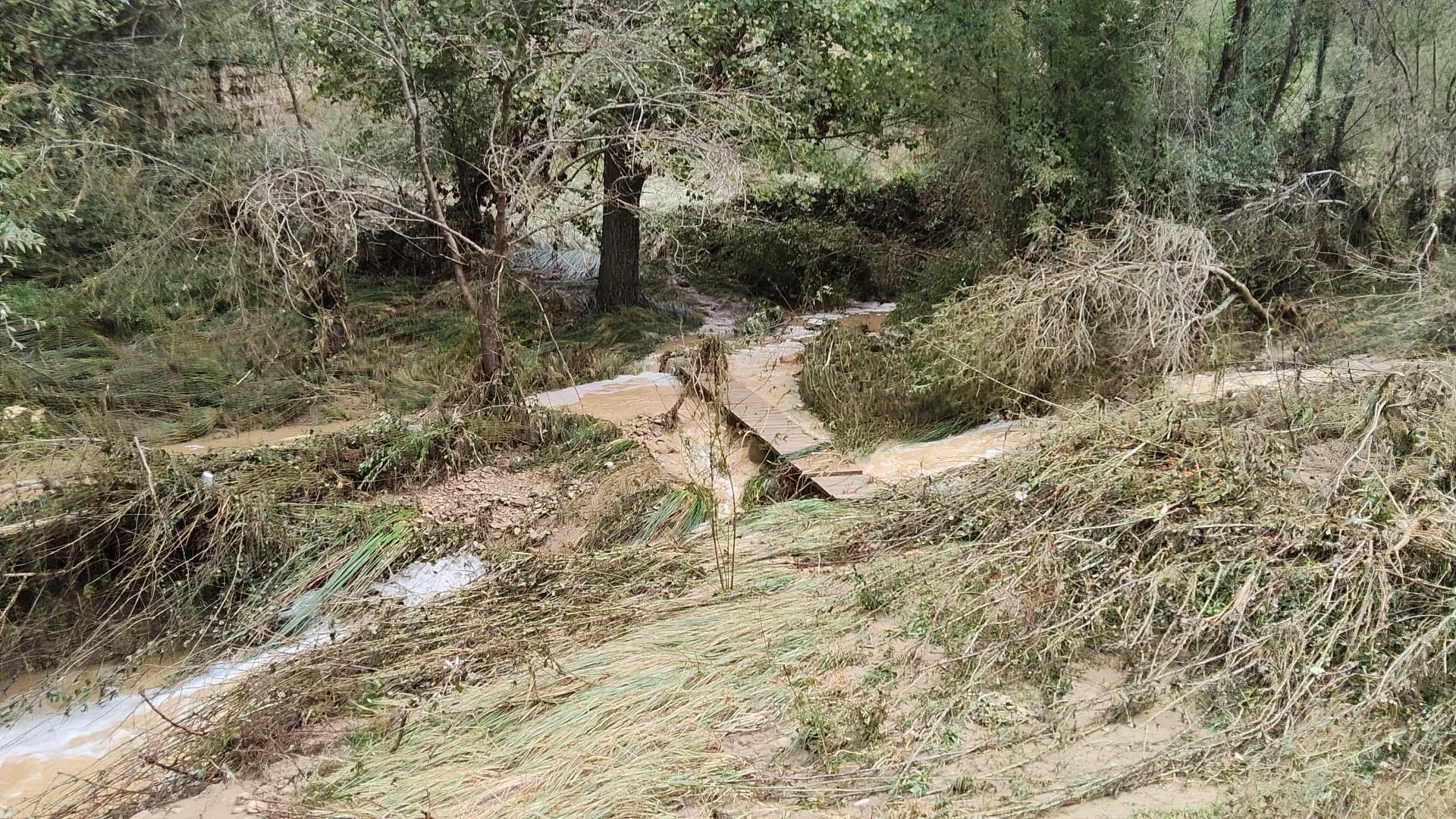 Daños causados por la tormenta en La Fontaneta de Ayerbe.