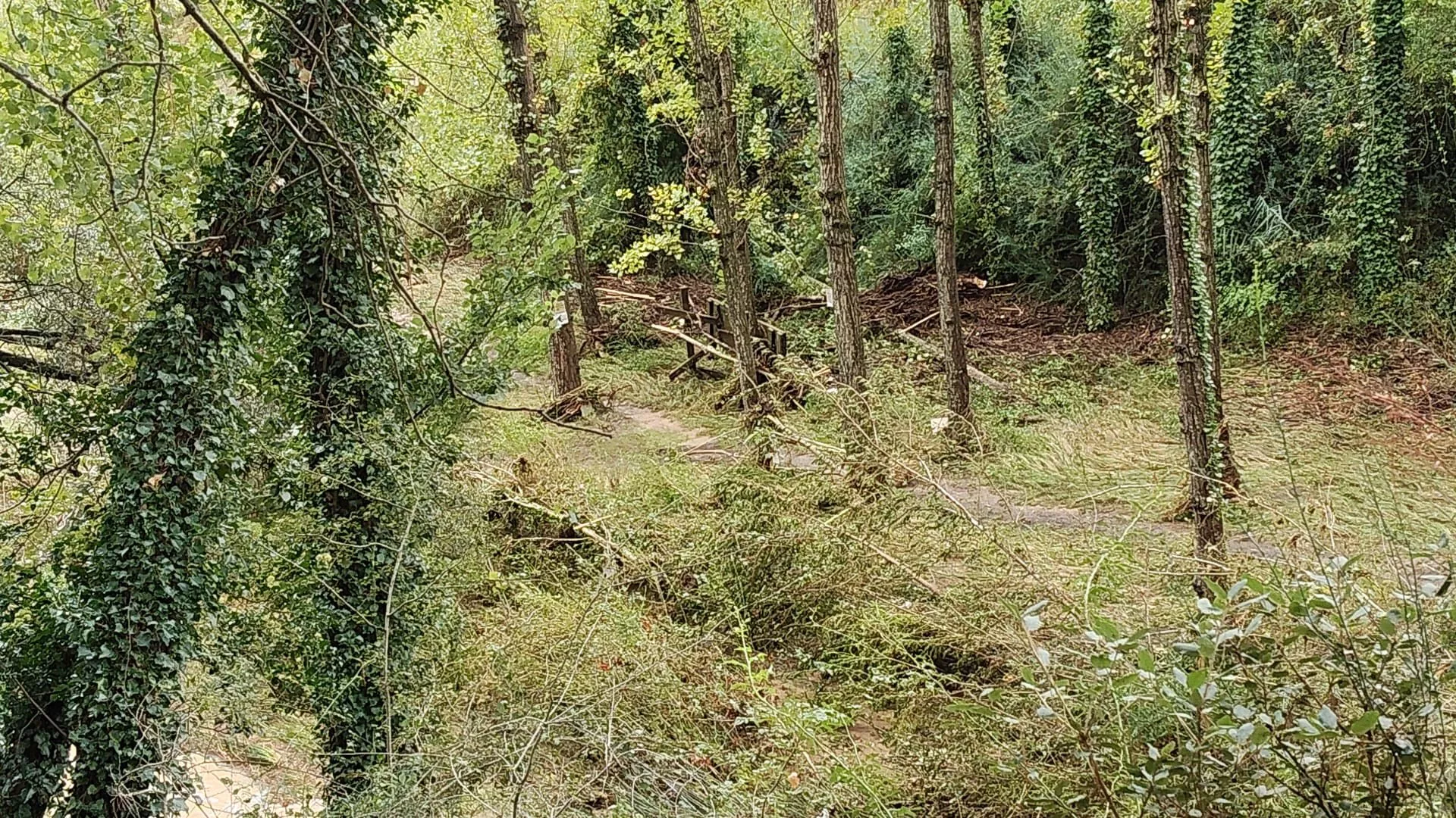 Daños causados por la tormenta en La Fontaneta de Ayerbe.