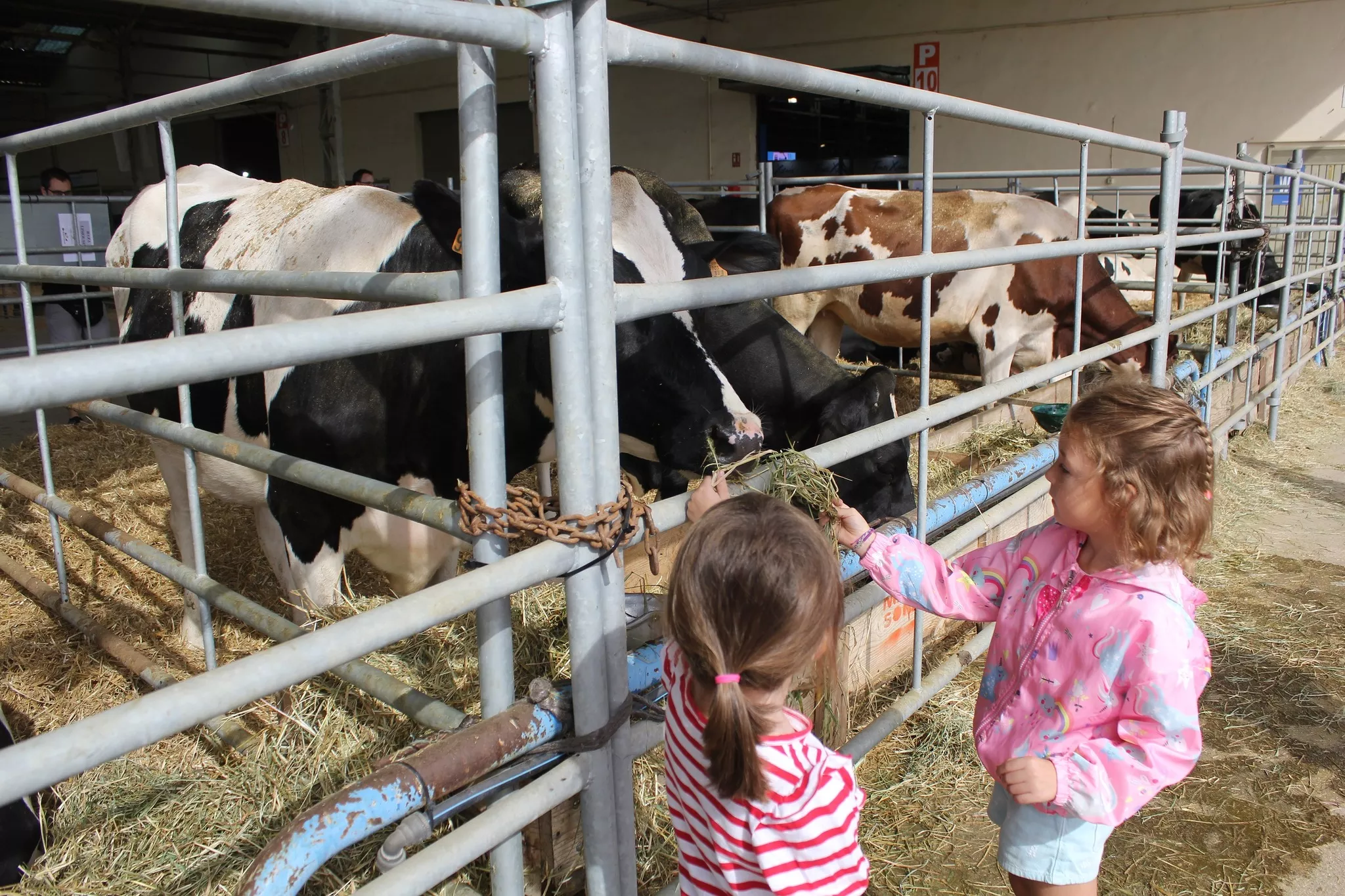 Actividad en la 39º Feria Industrial, Agrícola y Ganadera de Los Monegros.