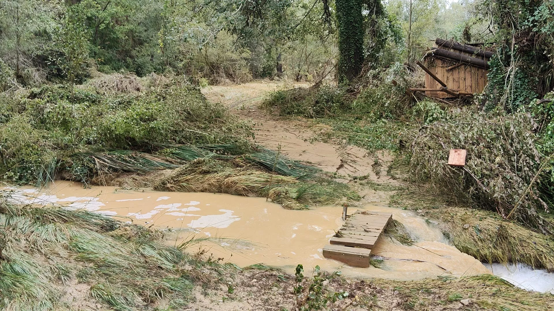 Destrozos en Ayerbe y su entorno originados por la tormenta. Destrozos en Ayerbe y su entorno originados por la tormenta.
