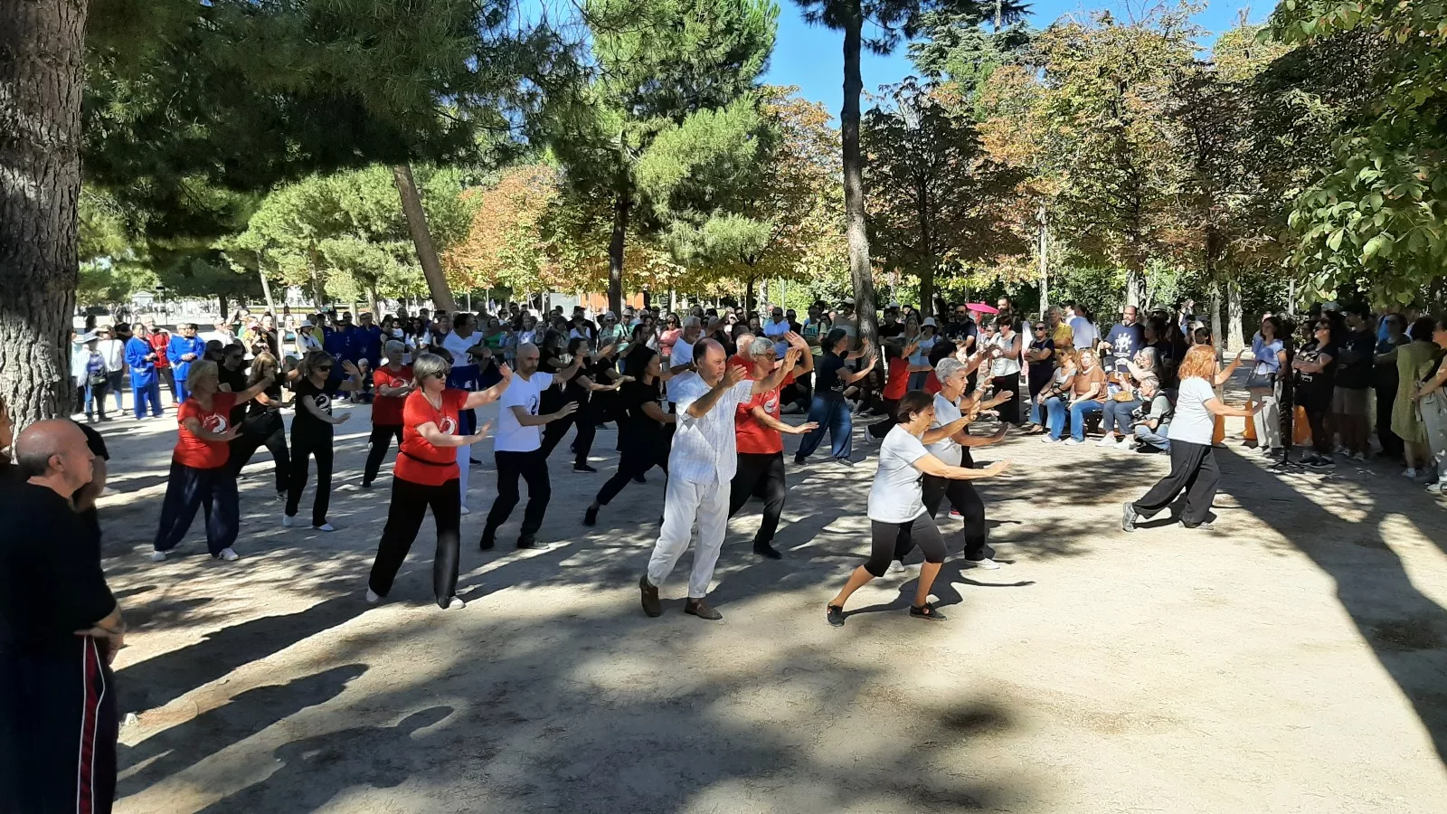 La Escuela de Tai Chi Huesca y Daniel Murciano en Madrid.