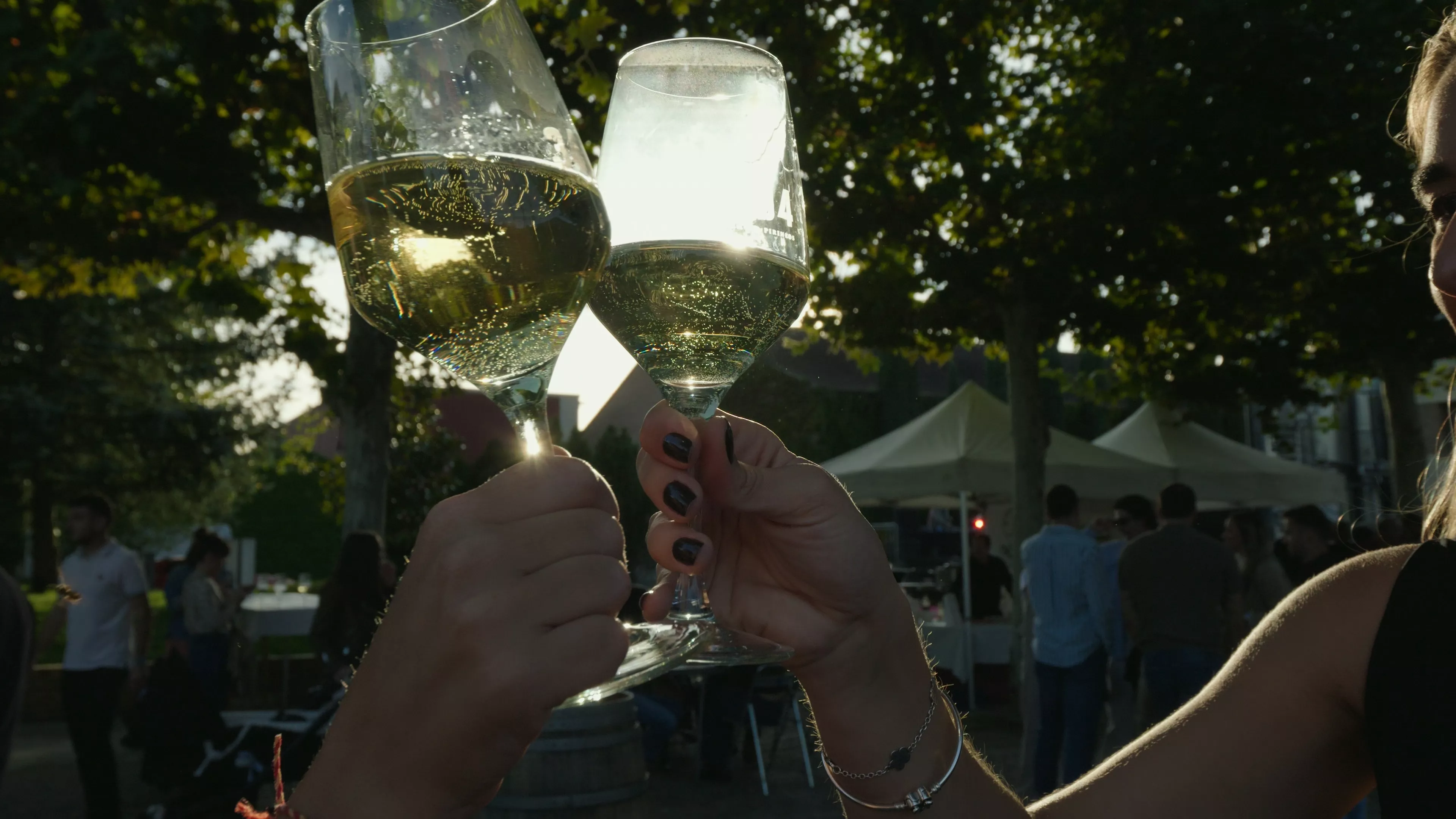 La Rematadura 2025: tradición, música y vino para despedir la vendimia en Bodega Pirineos