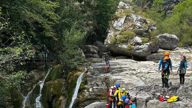 Viandico 81 CMNabain Viandico 81 CMNabain