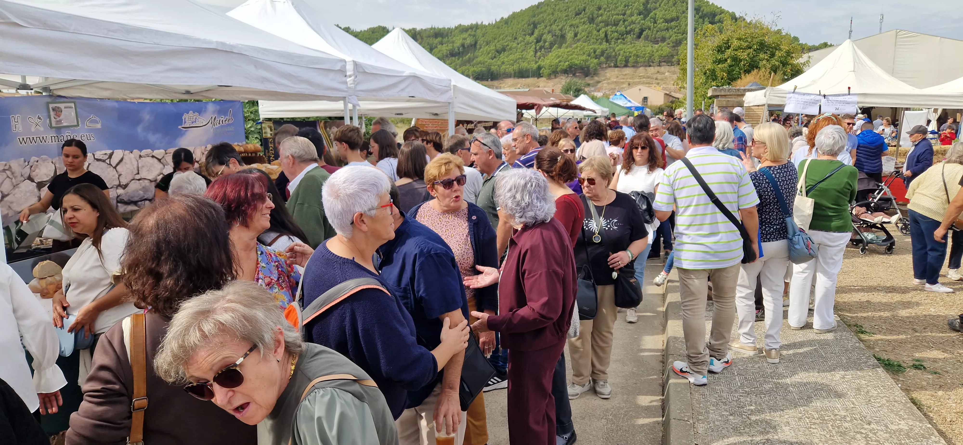 XXIX Feria de Alternativas Rurales del Prepirineo en Ayerbe. Foto Myriam Martínez