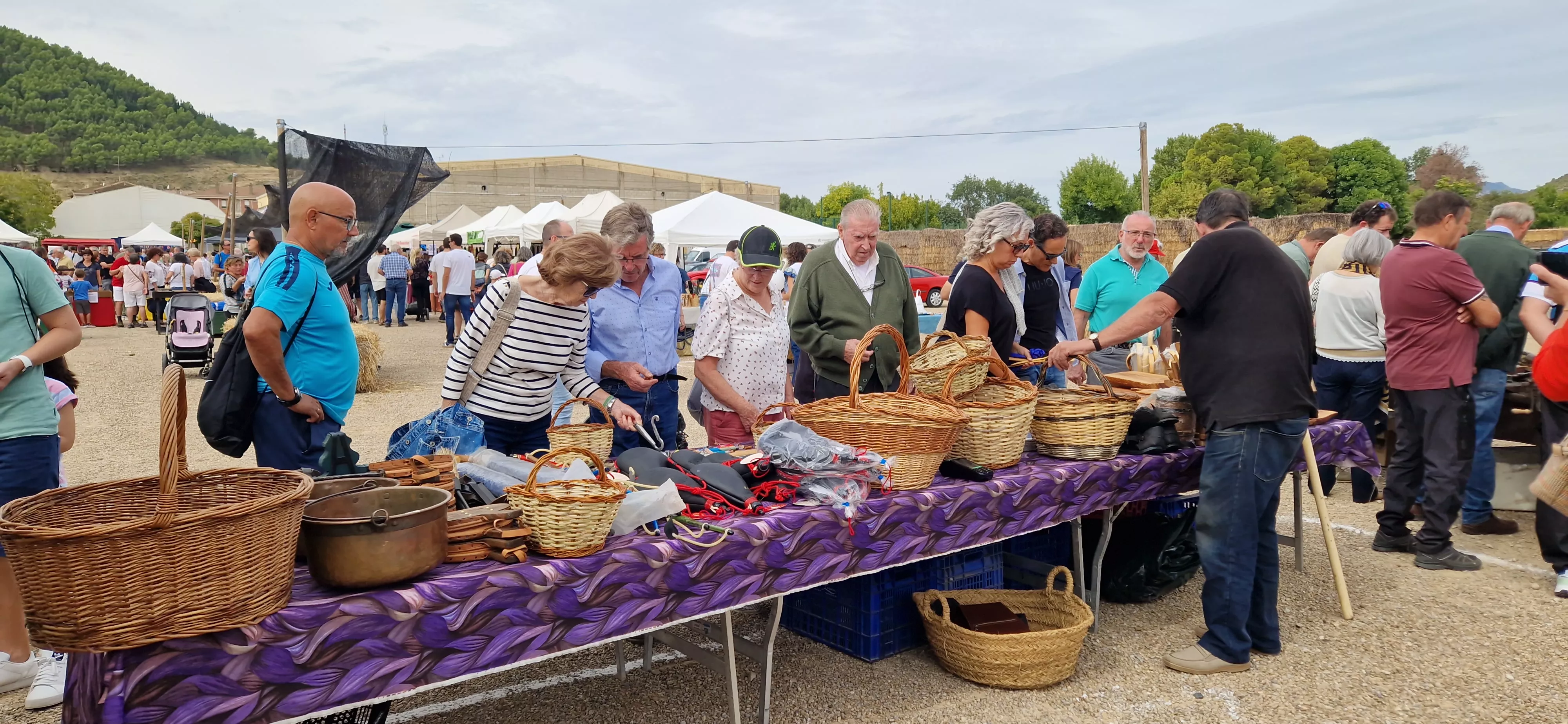XXIX Feria de Alternativas Rurales del Prepirineo en Ayerbe. Foto Myriam Martínez