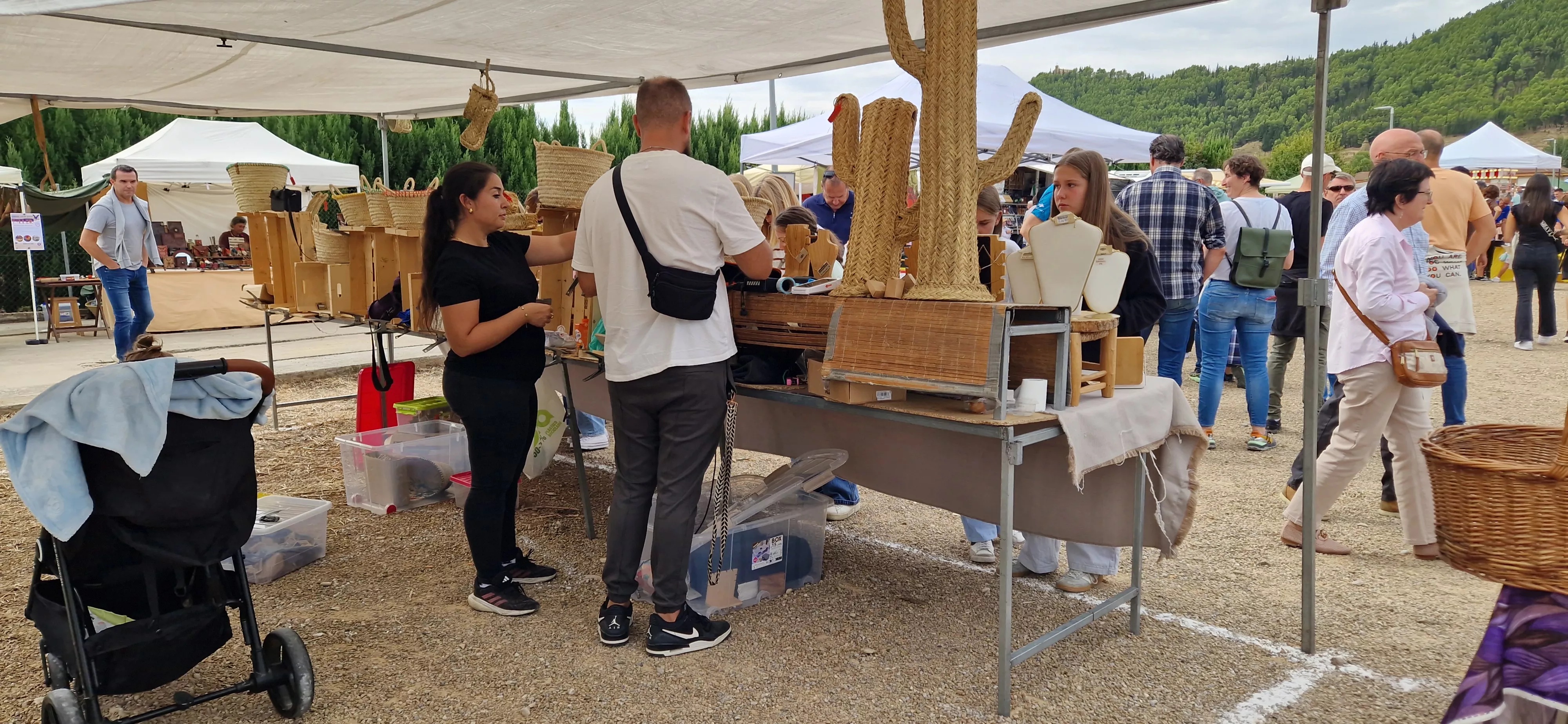 XXIX Feria de Alternativas Rurales del Prepirineo en Ayerbe. Foto Myriam Martínez