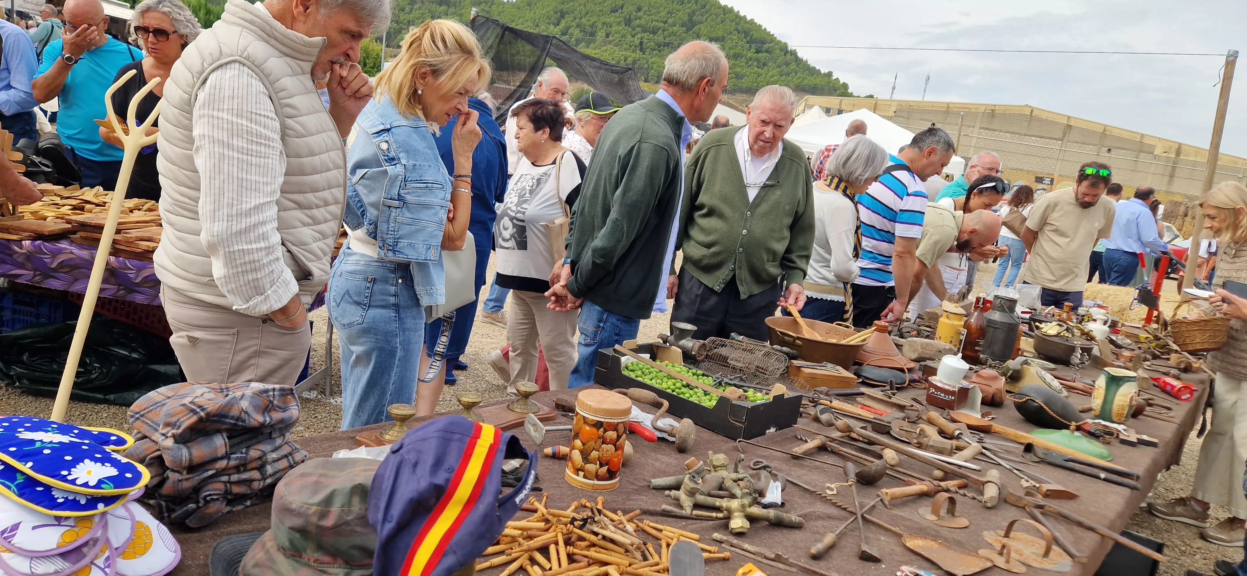 XXIX Feria de Alternativas Rurales del Prepirineo en Ayerbe. Foto Myriam Martínez