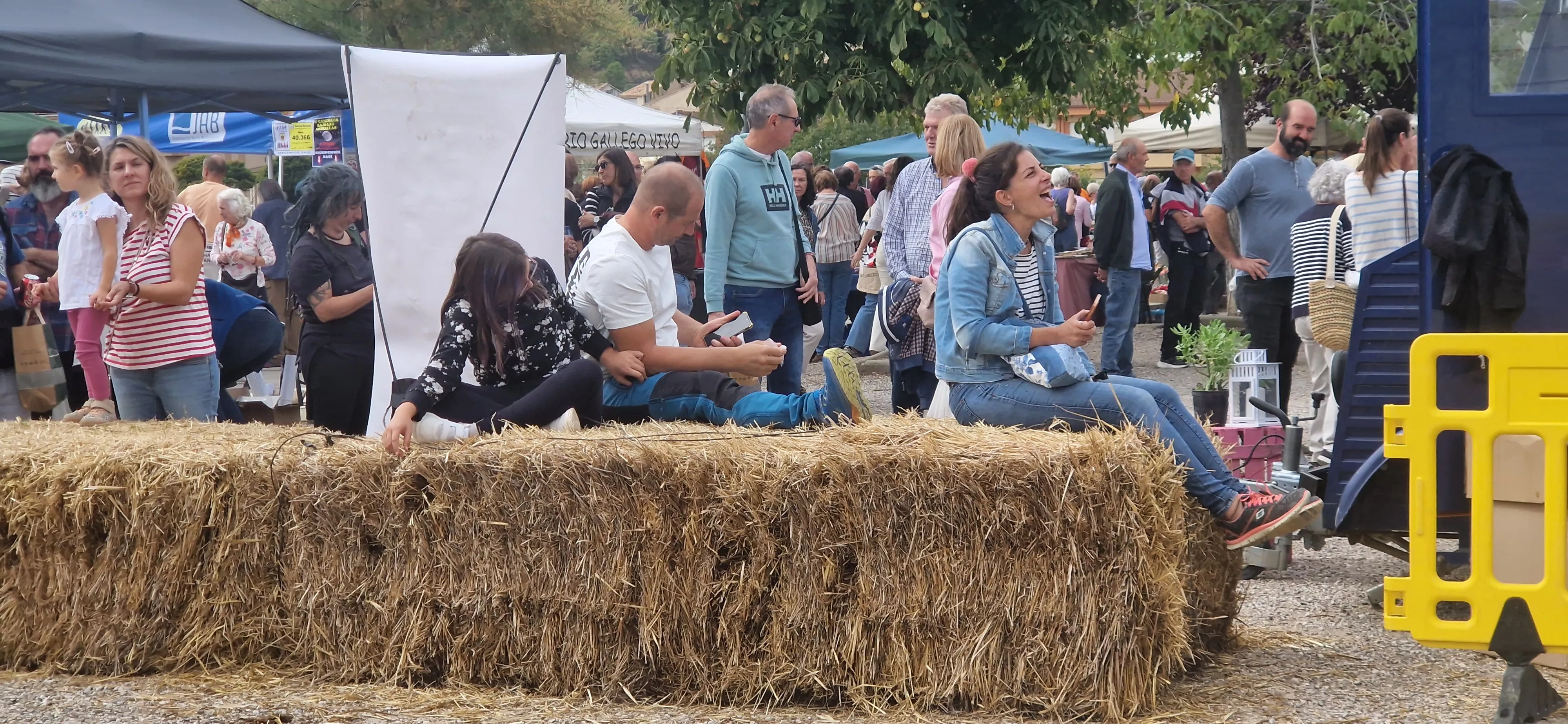 XXIX Feria de Alternativas Rurales del Prepirineo en Ayerbe. Foto Myriam Martínez