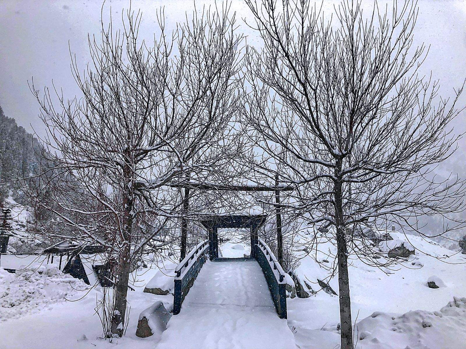 Imagen de Llanos del Hospital
