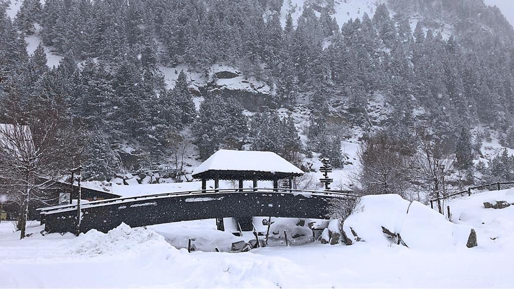 Imagen de Llanos del Hospital