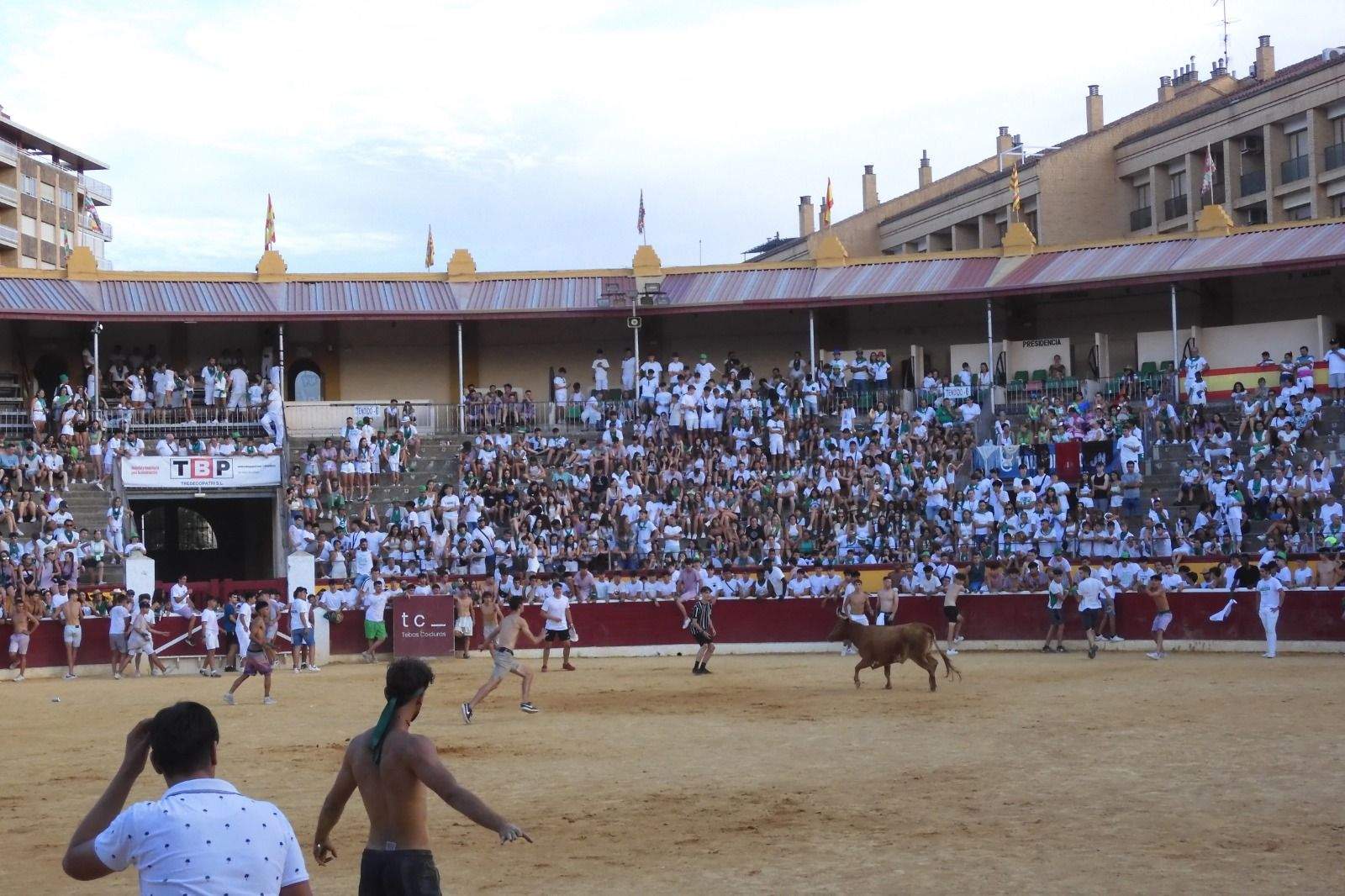 Becerrada. Foto Carlos Jalle 