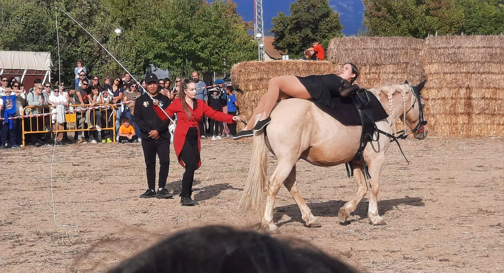 XXIX Feria de Alternativas Rurales del Prepirineo en Ayerbe. 