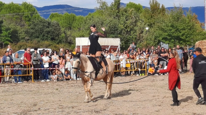 XXIX Feria de Alternativas Rurales del Prepirineo en Ayerbe. XXIX Feria de Alternativas Rurales del Prepirineo en Ayerbe.