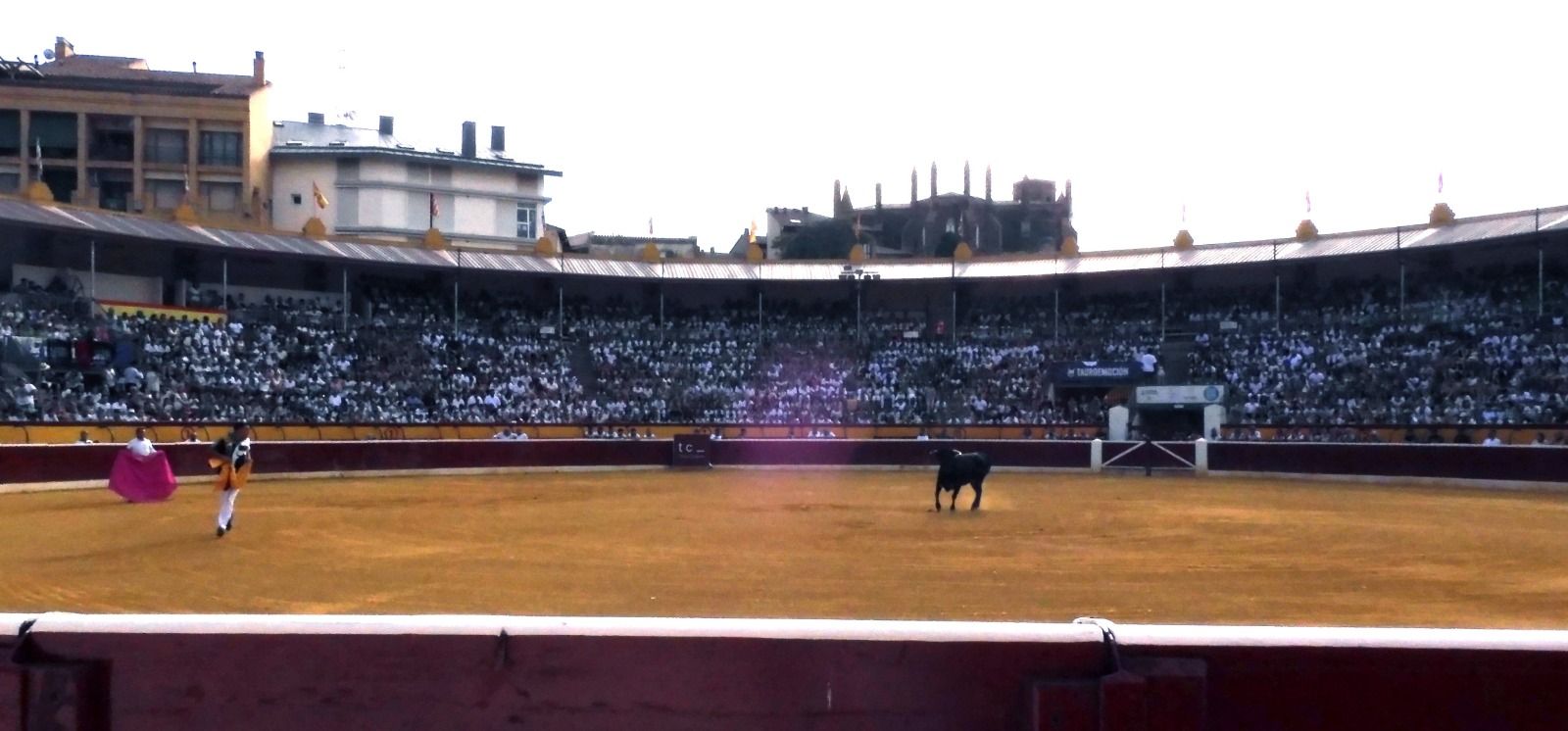 Becerrada. Foto Carlos Jalle 