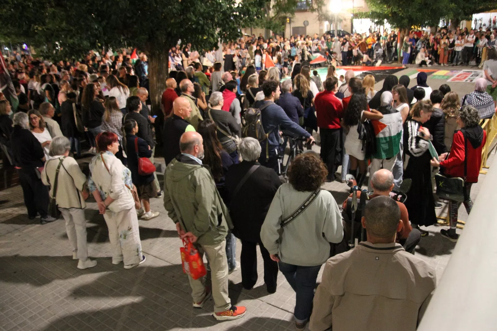Huesca con Palestina. Foto Carlos Neofato