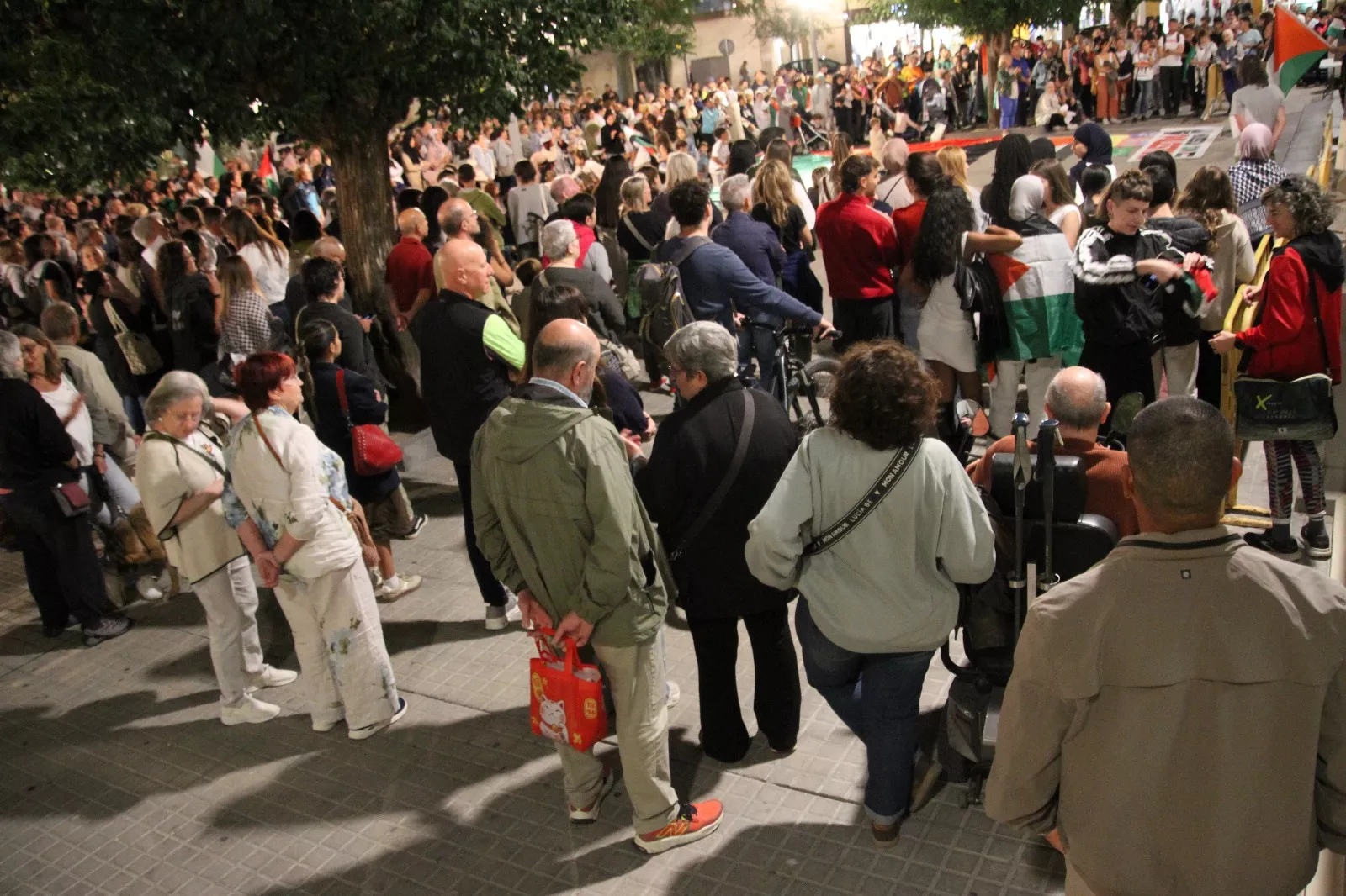 Huesca con Palestina. Foto Carlos Neofato