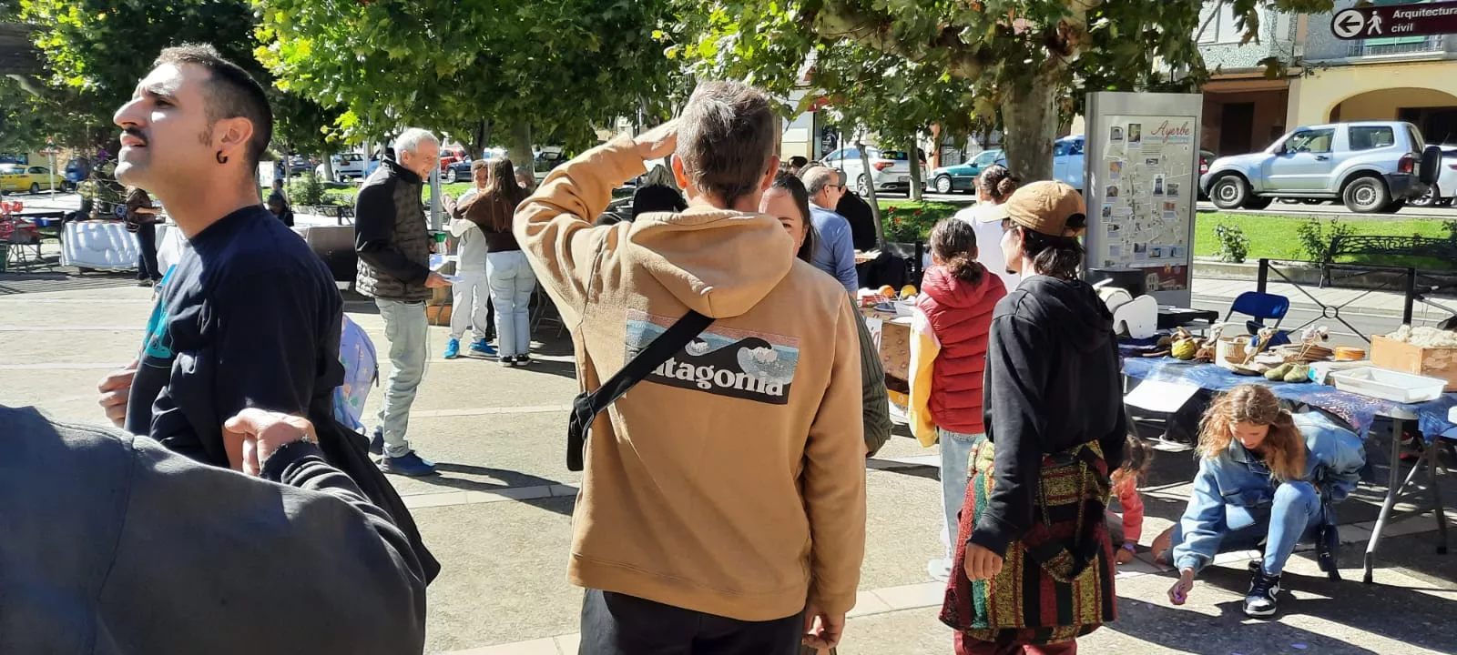 Fiesta de la Diversidad de Ayerbe.