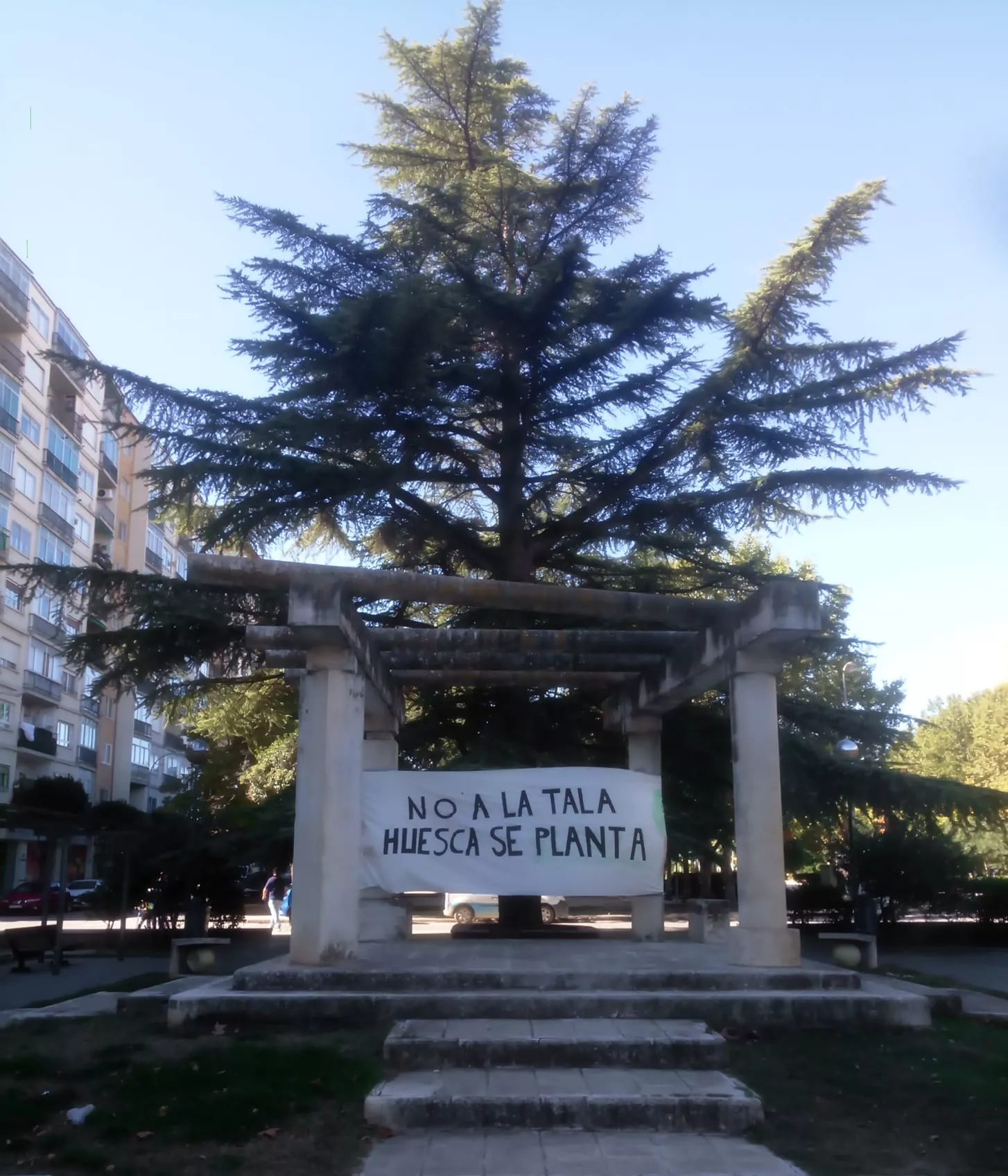  I Jornada de Convivencia organizada por Áboles Vivos Huesca.