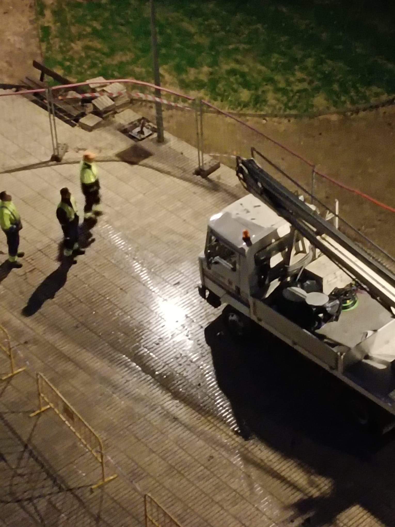 Tala de pinos en el Parque de San Martín. Foto Carlos Jalle 