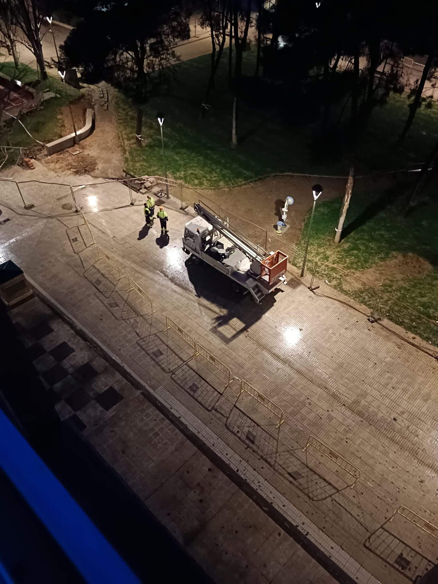 Tala de pinos en el Parque de San Martín. Foto Carlos Jalle 