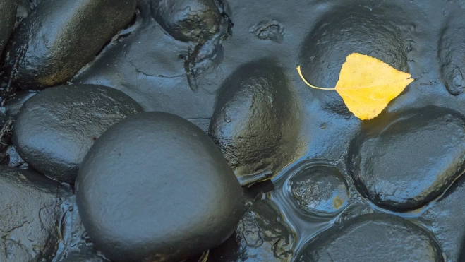 557868820 1227821496048476 2926651650151540730 n 557868820 1227821496048476 2926651650151540730 n