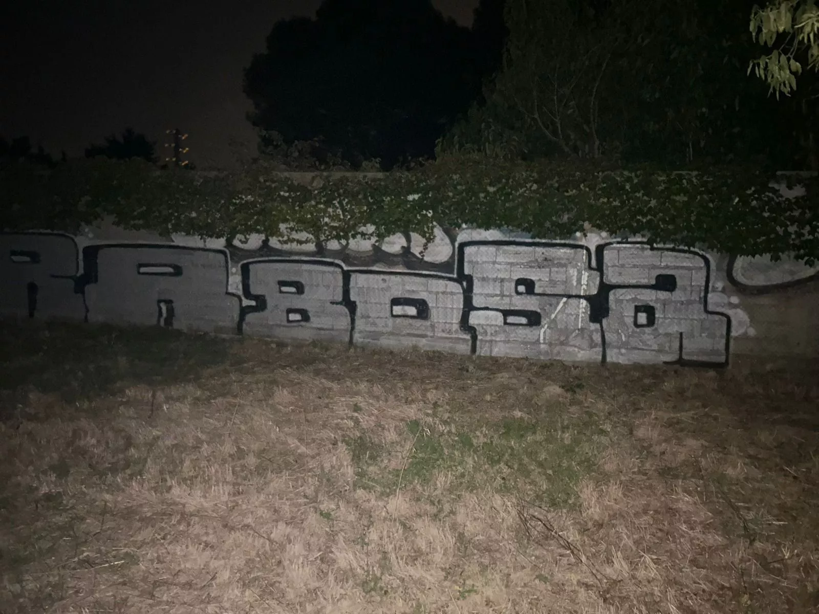 Grafiti pintado por el joven Grafiti pintado por el joven