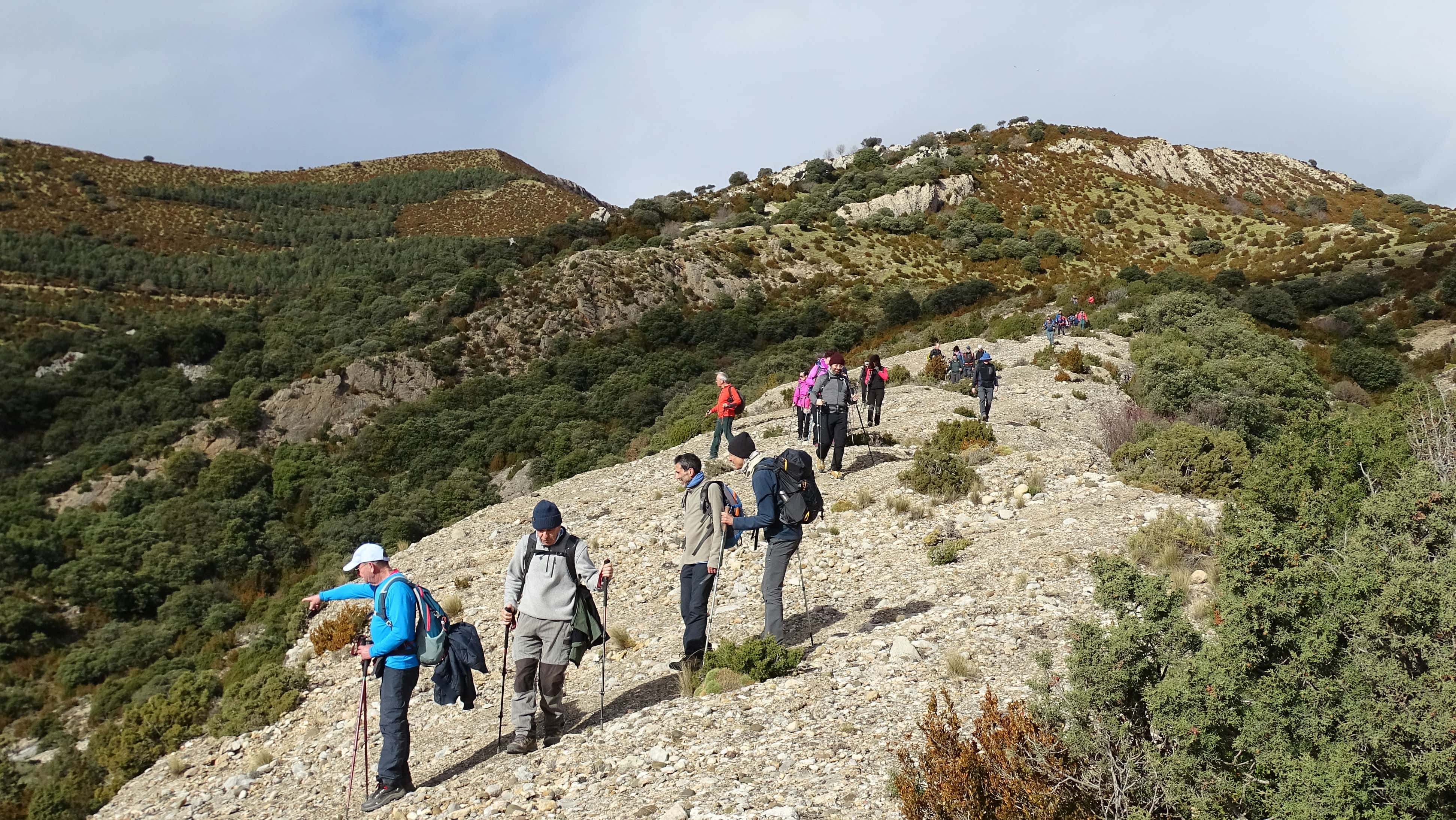 Observando las cabras asilvestradas. Foto Peña Guara